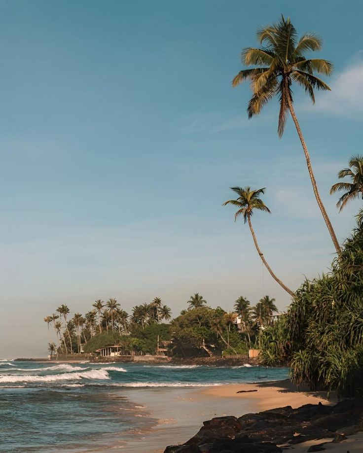 surfing or relaxing by the sea