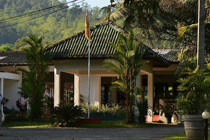 Kithulagala Rest House