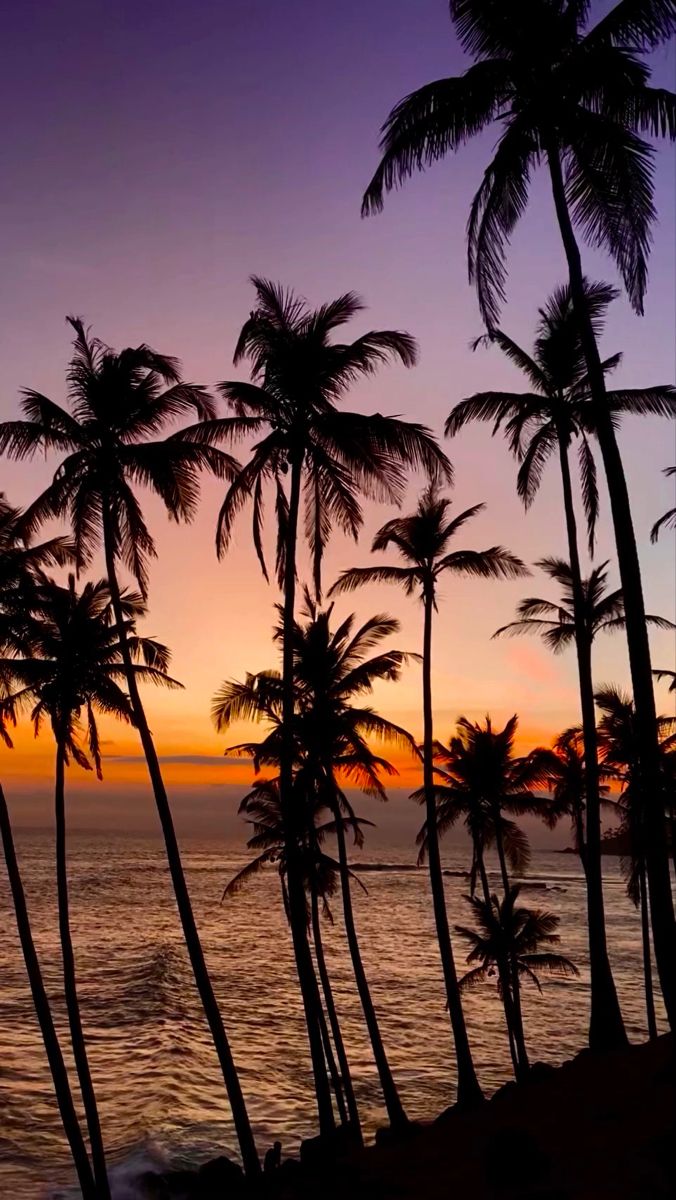 Relax on Tangalle Beach