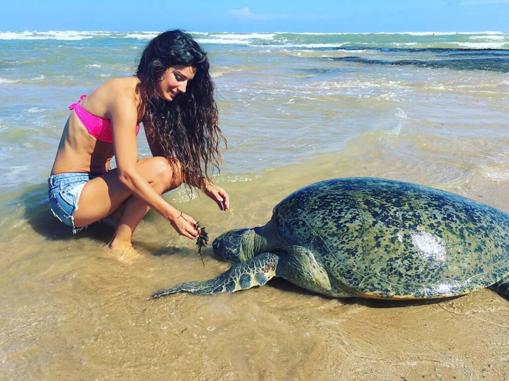 Hikkaduwa Turtle Watching