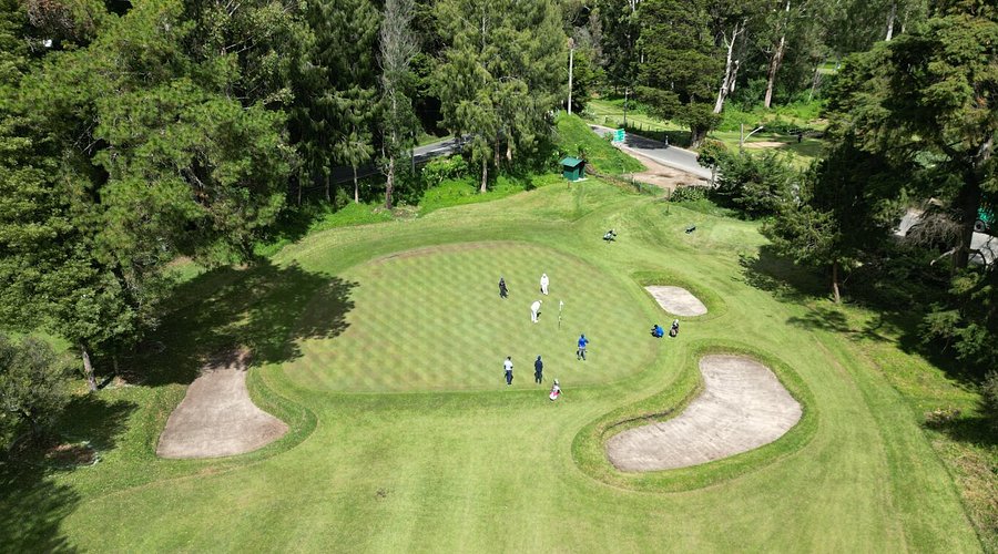 Play a round of golf