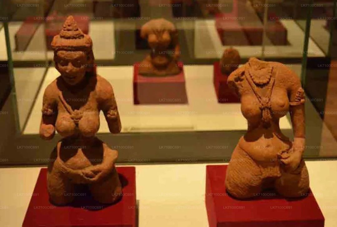 Visit the Sigiriya Museum