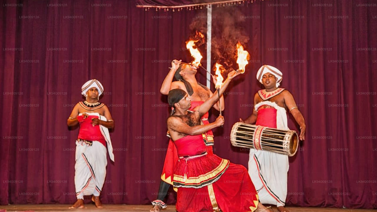 Kandyan cultural show