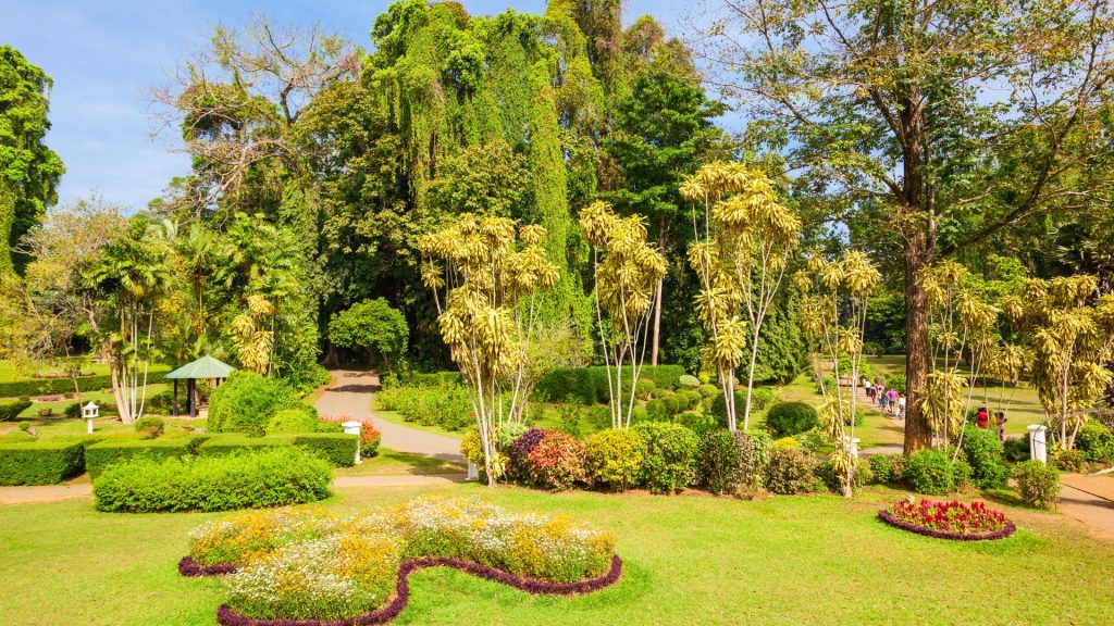 Explore the Royal Botanical Gardens.