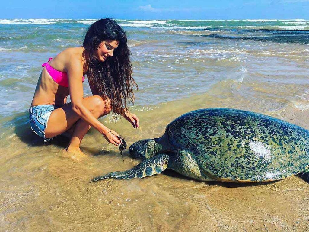 Look for sea turtles at Dalawella Beach.