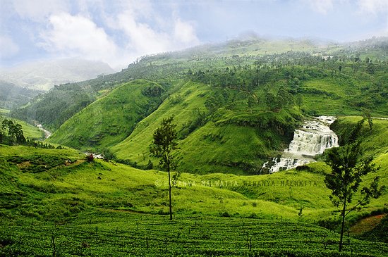 5-Day Cultural & Scenic Tour of Sri Lanka