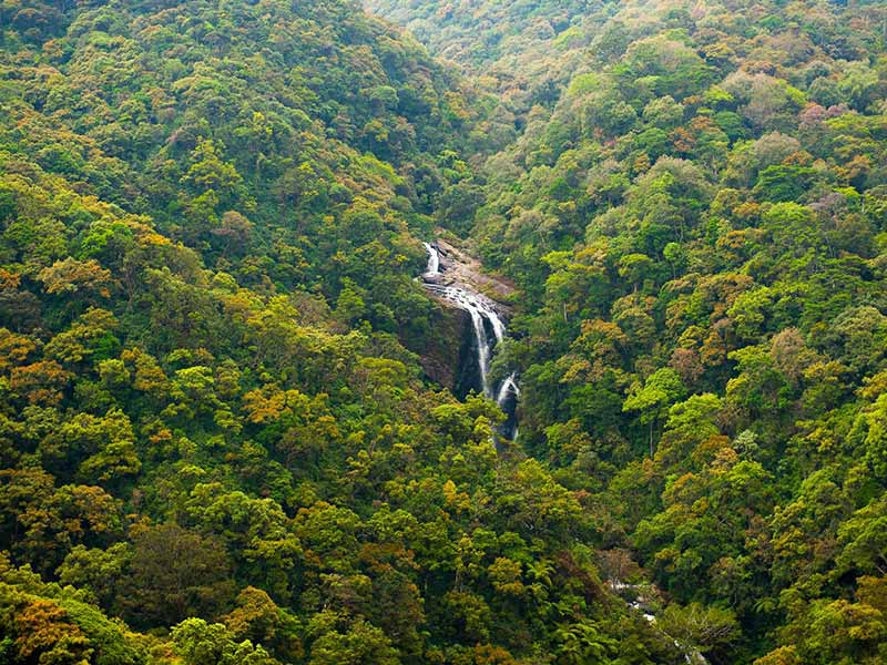 Kithulgala Adventure Getaway – 2 Nights, 3 Days